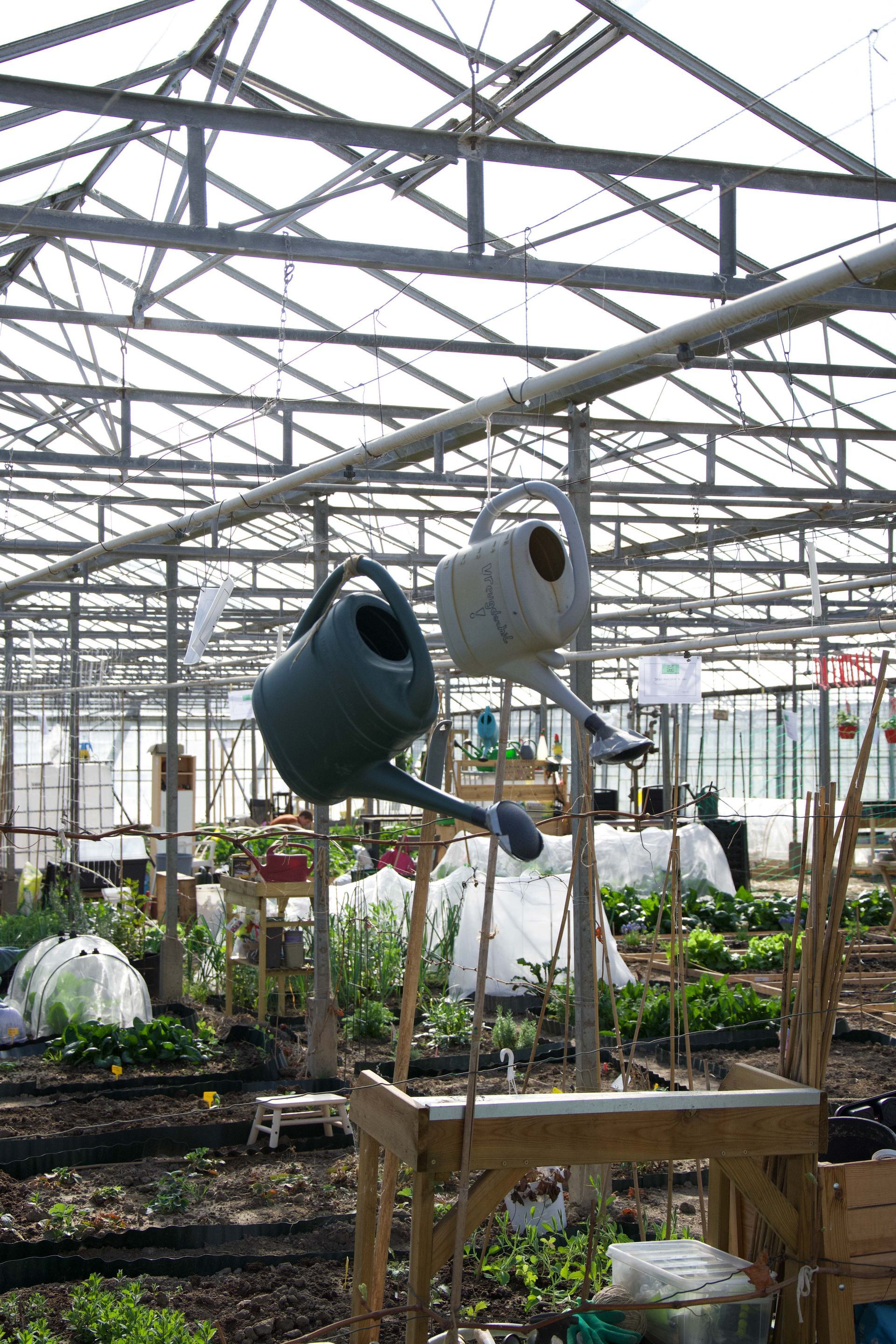 Moestuin Westland | Groene Dromers | Moestuinieren