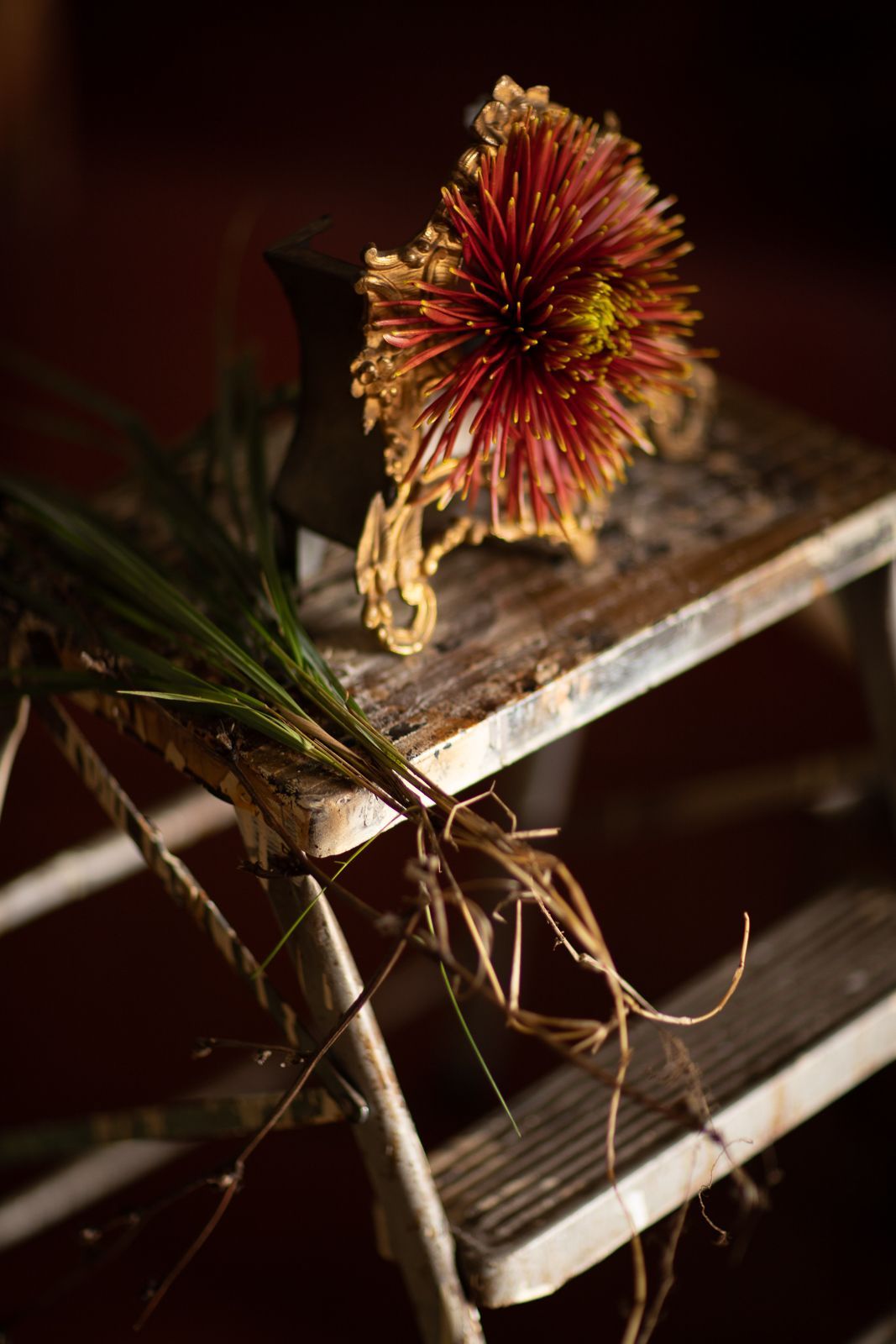 Fiori secchi ed erbe su un piccolo sgabello di metallo; toni rosso scuro e marrone.