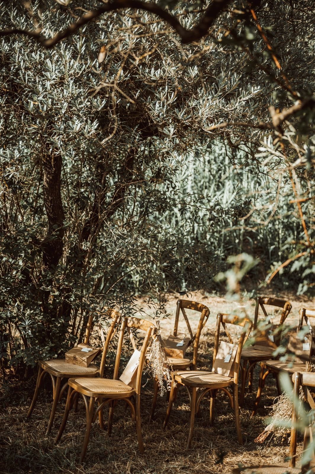 Sedie di legno disposte all'aperto sotto una volta di alberi, allestite per un evento.