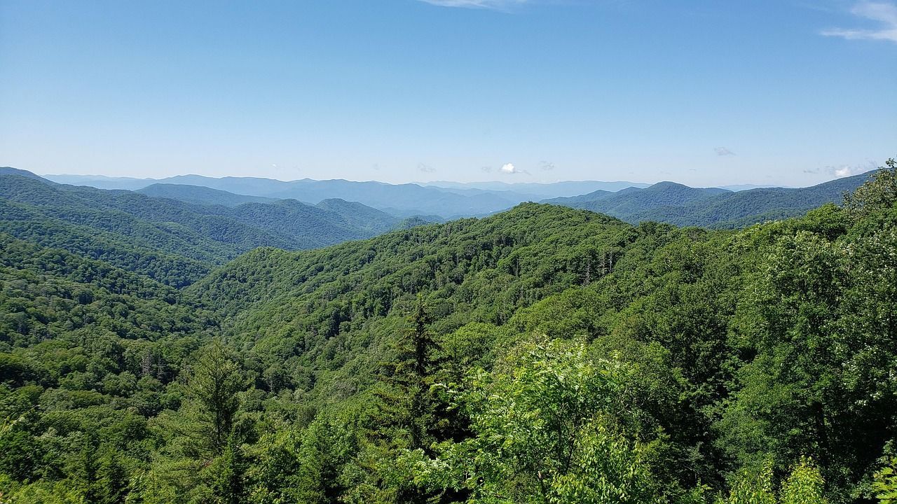 Lush green forested hills under a clear blue sky, stretching into the distance.