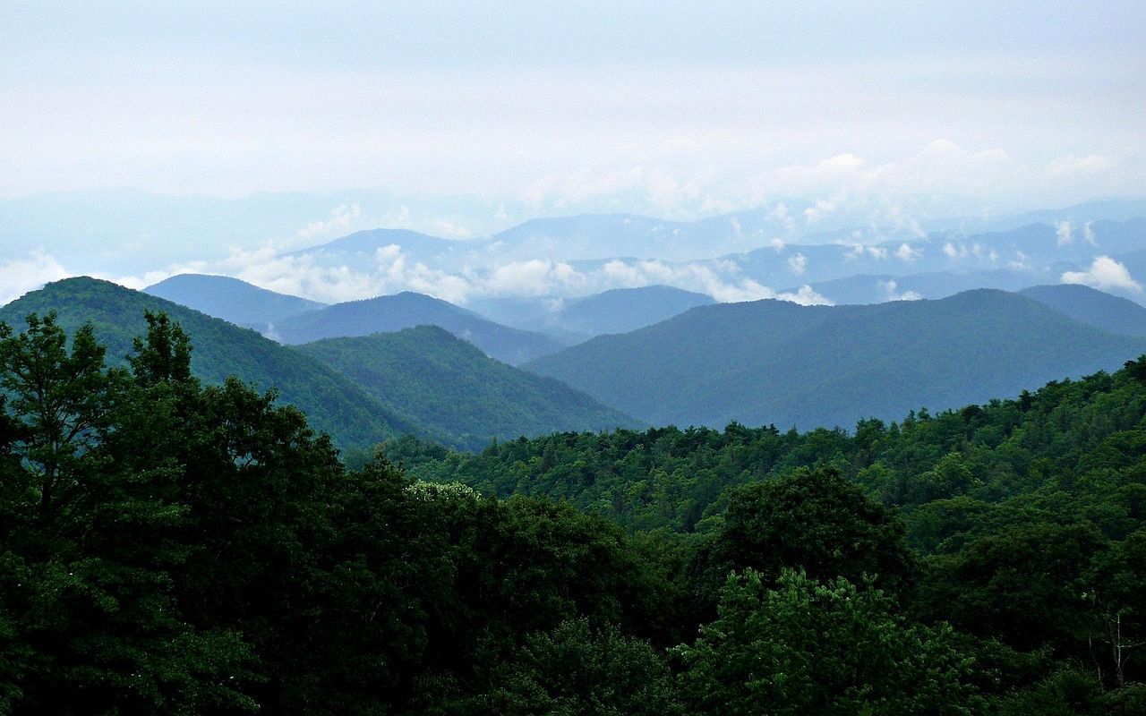 Layered blue-green mountain ridges above a lush forest under a hazy sky