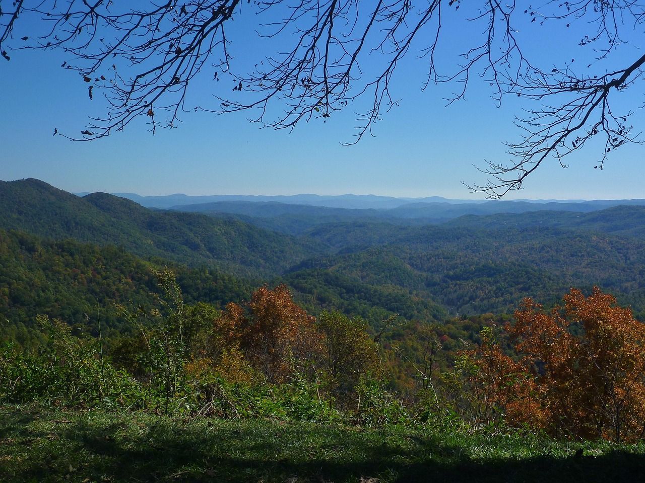 Blue mountain valley vista with distant ridges, autumn trees, and bare branches framing the sky