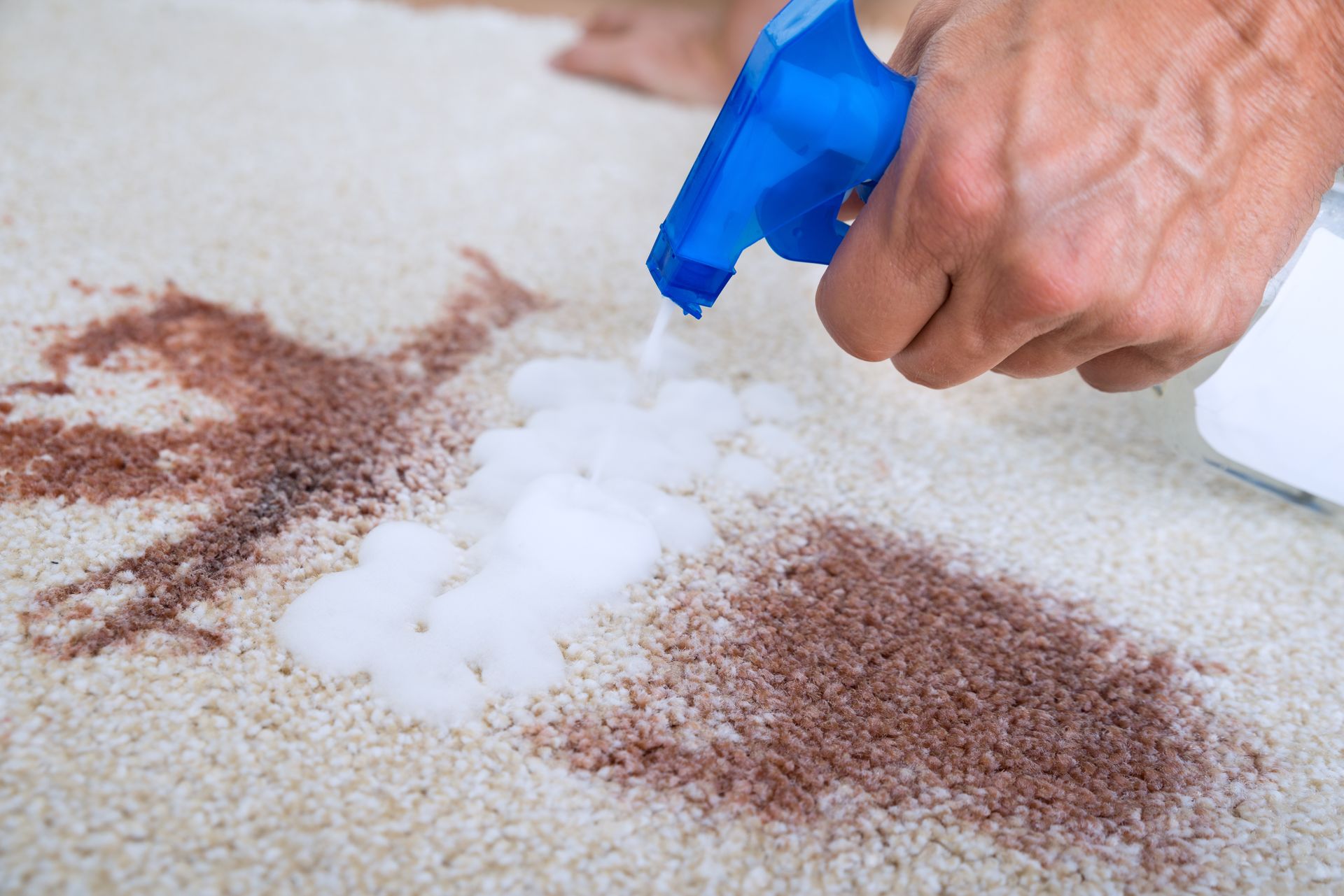 Man Cleaning Stain On Carpet with a carpet cleaner from Master Care Inc. in Mishawaka, IN