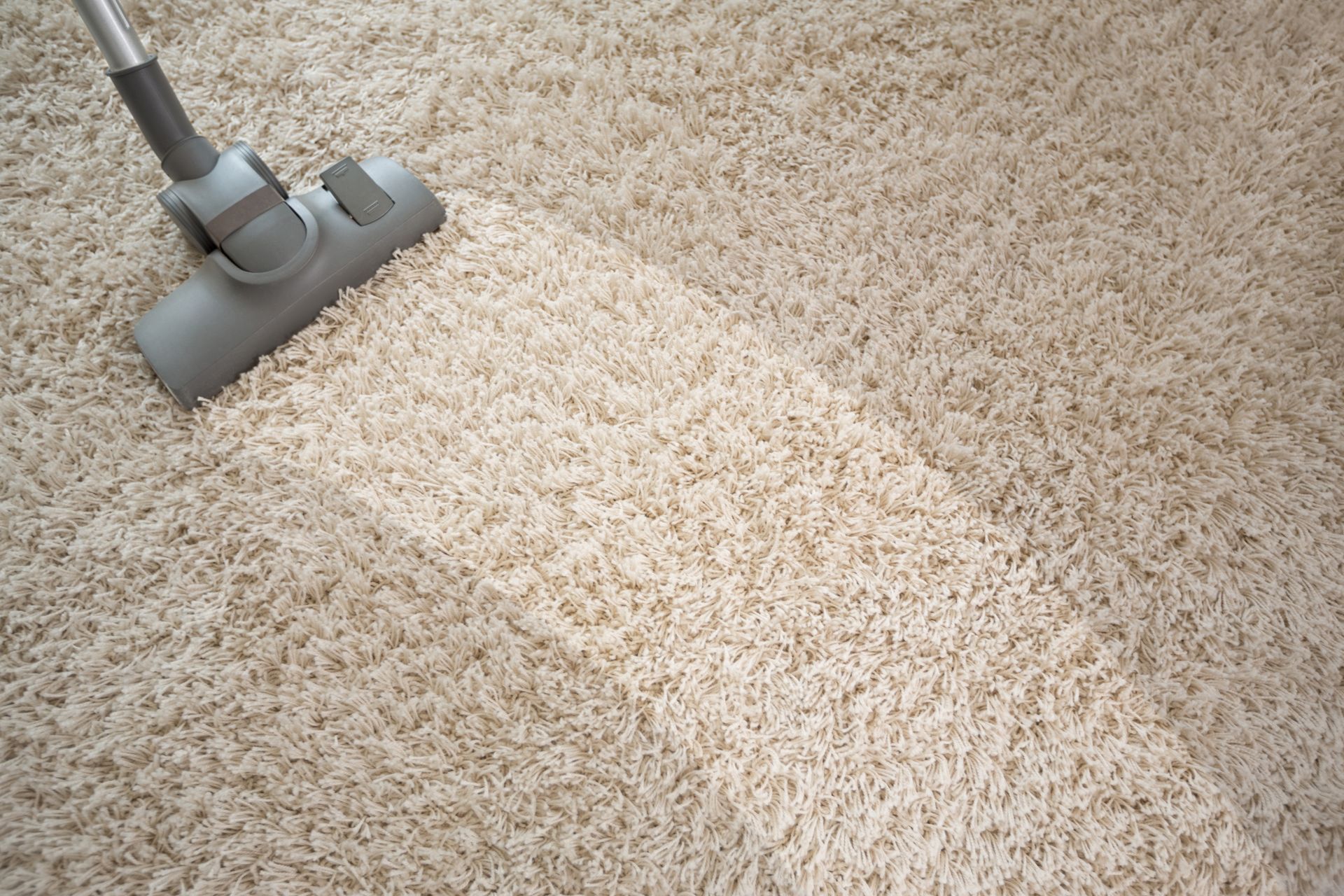 Vacuum cleaner cleaning a stripe through a beige shag carpet
