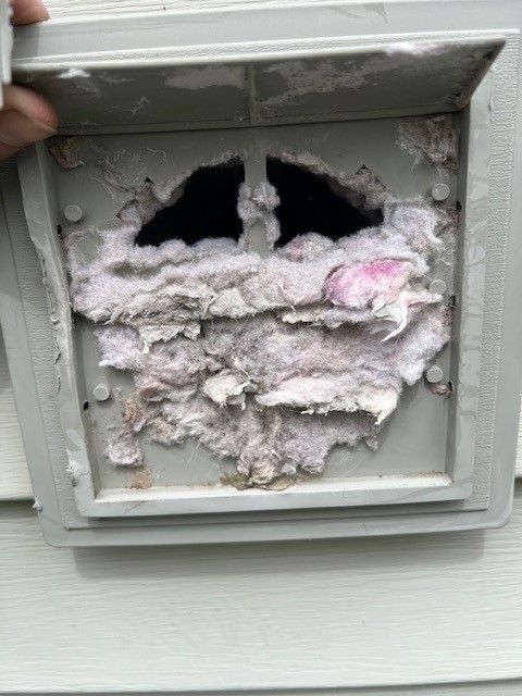 Exterior dryer vent clogged with lint, on a light green house.