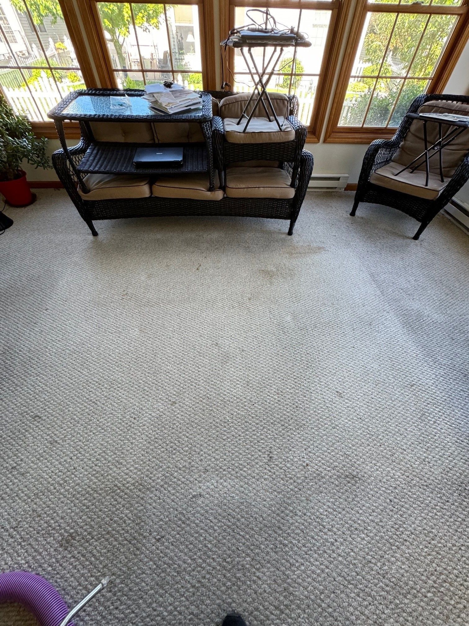 Sunroom with wicker furniture, laptop, and patterned light carpet. Large windows and a potted plant are visible.