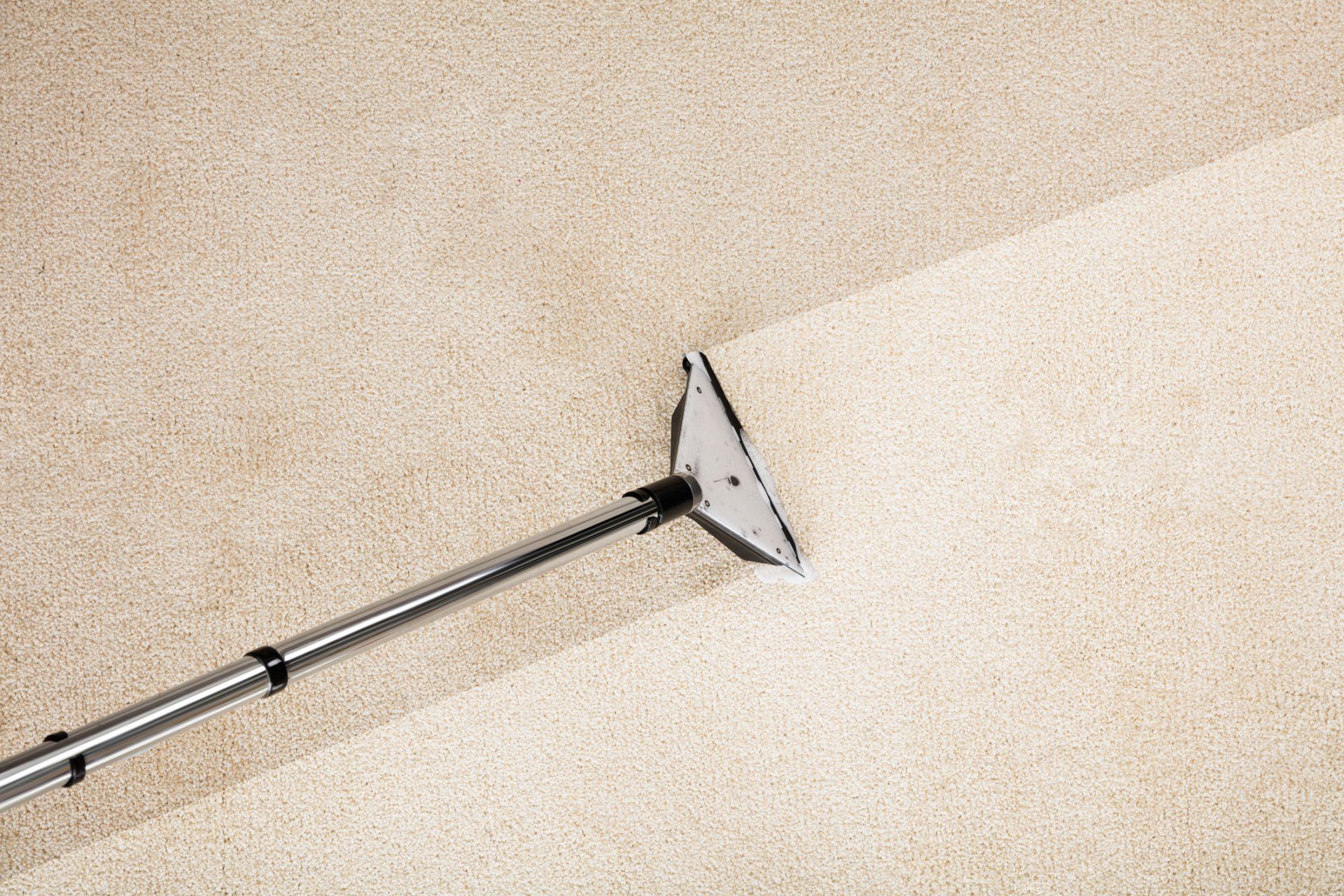 Carpet being cleaned with a steam cleaner, showing a clean strip of beige carpet.