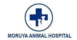 sponsor-logo