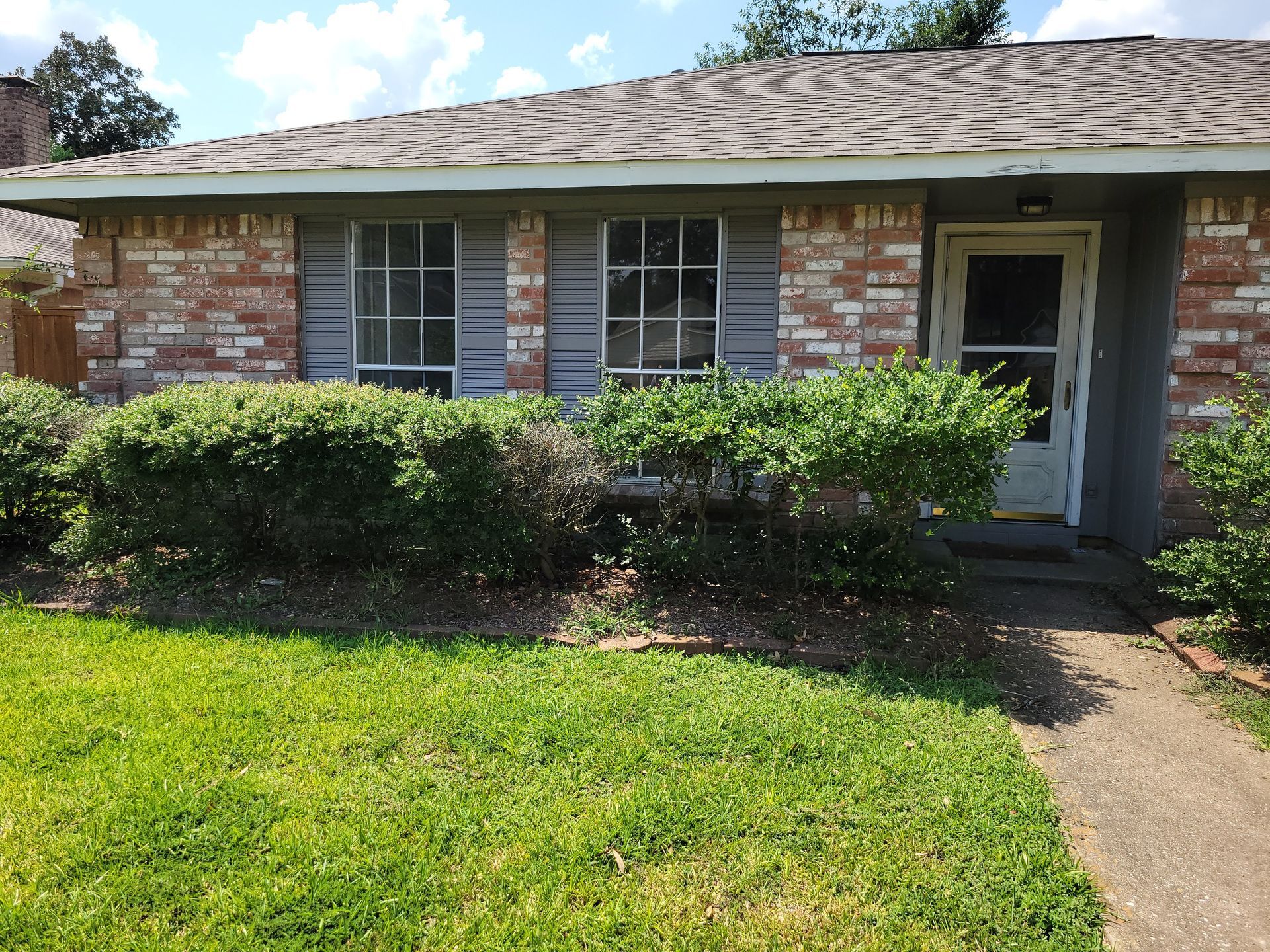 Brick house with green lawn and overgrown bushes. A sidewalk leads to the front door.