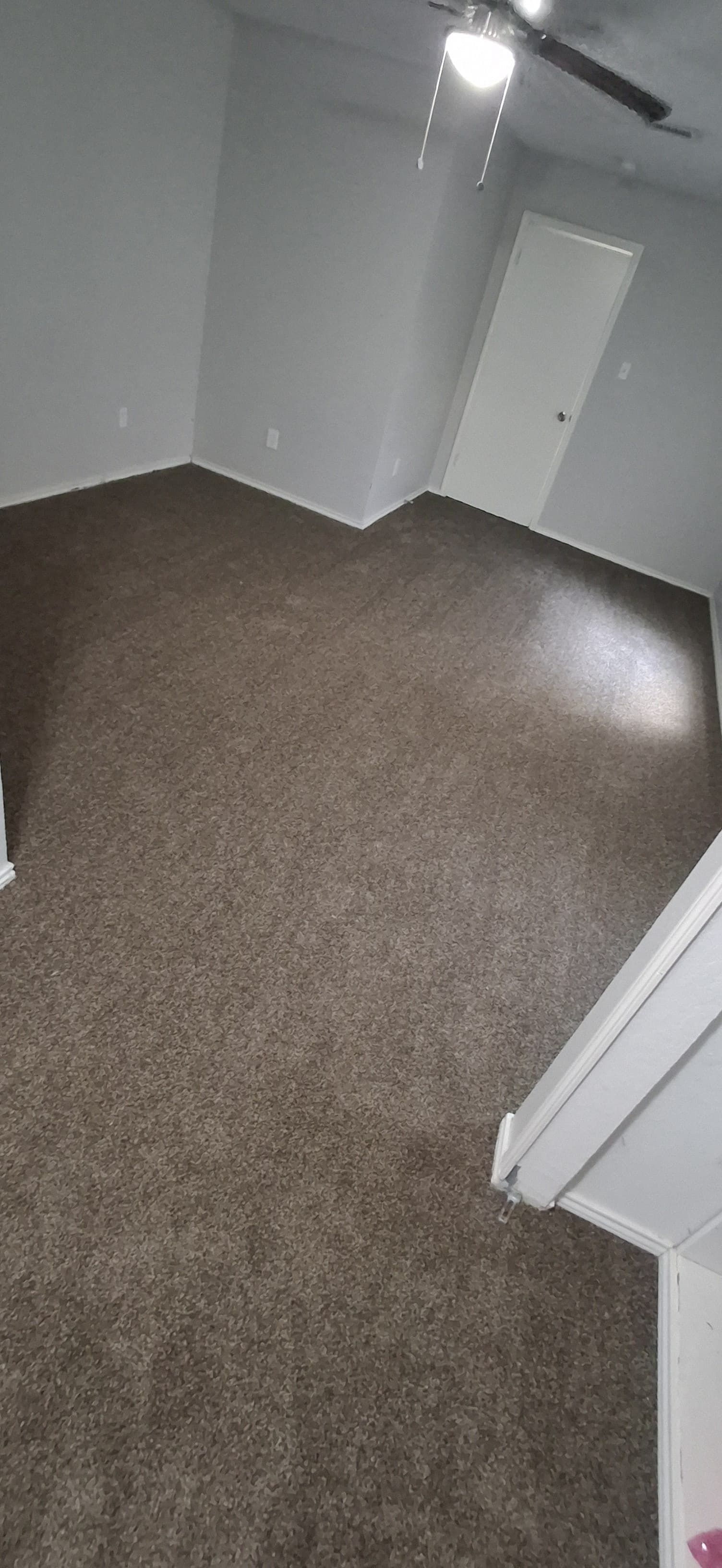 View of a room with brown carpet, white walls, a ceiling fan, and a door.