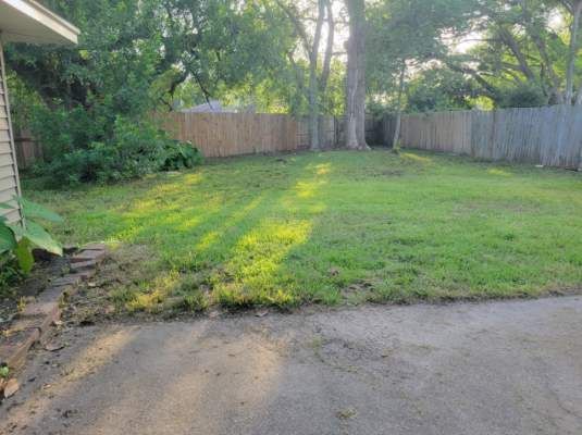 Backyard with green grass, wooden fence, and large tree. Sunlight casts long shadows.