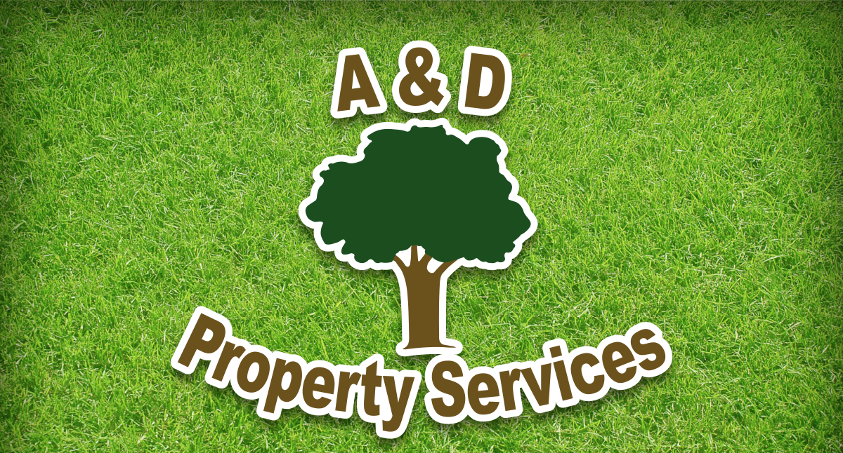 A & D Property Services LLC