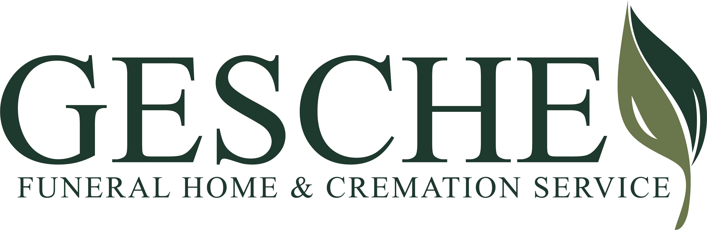 logo-image