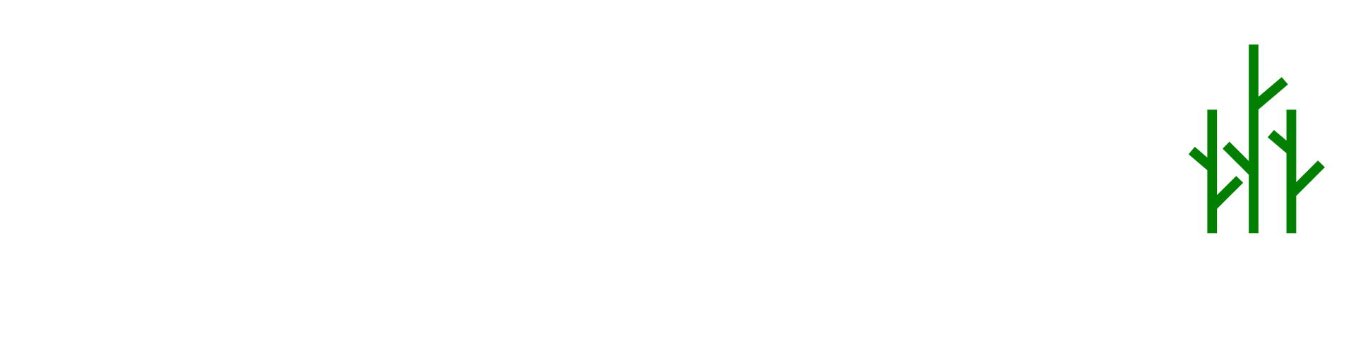 Bloomwood Capital Advisors logo