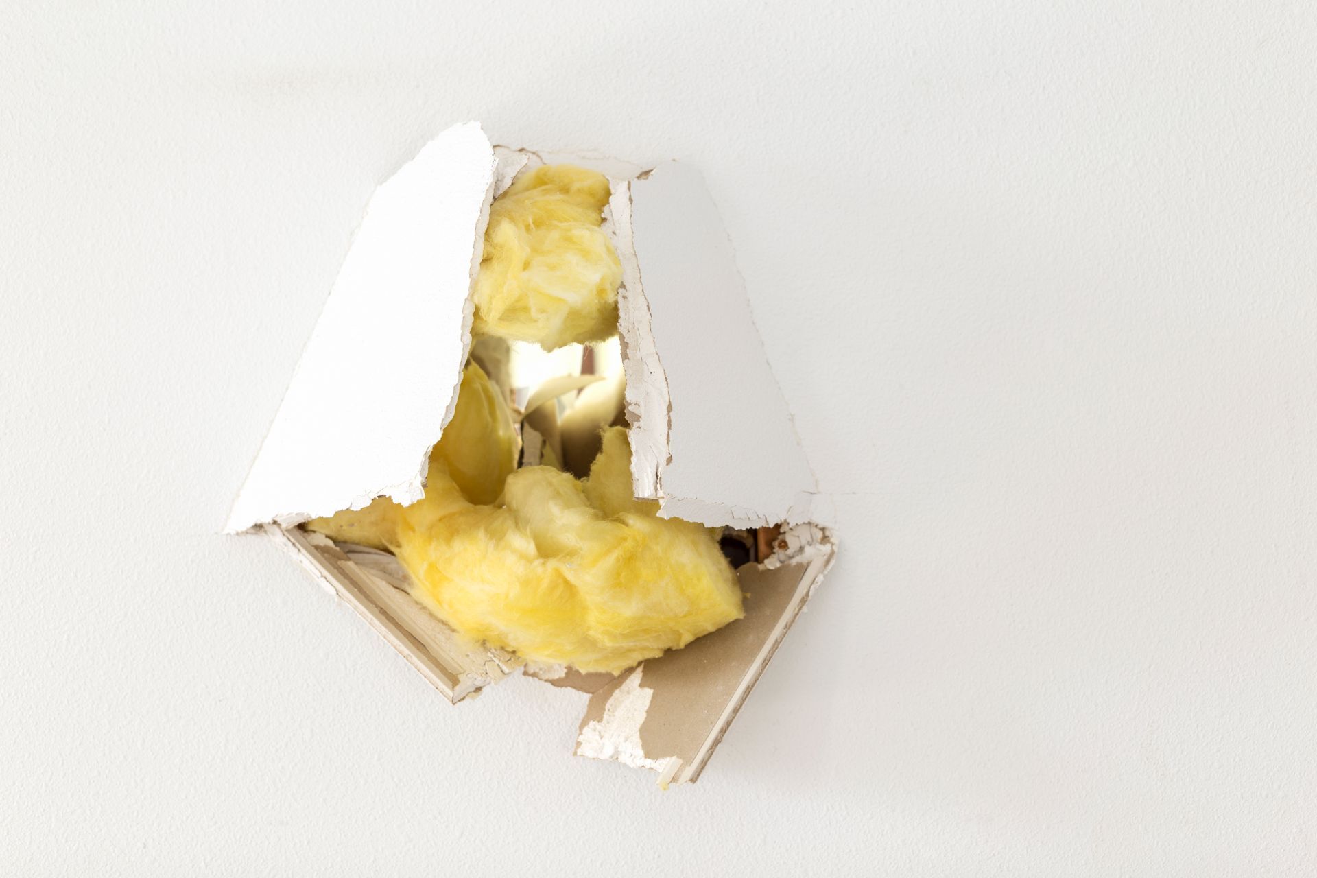 Richmond bc insulation repair