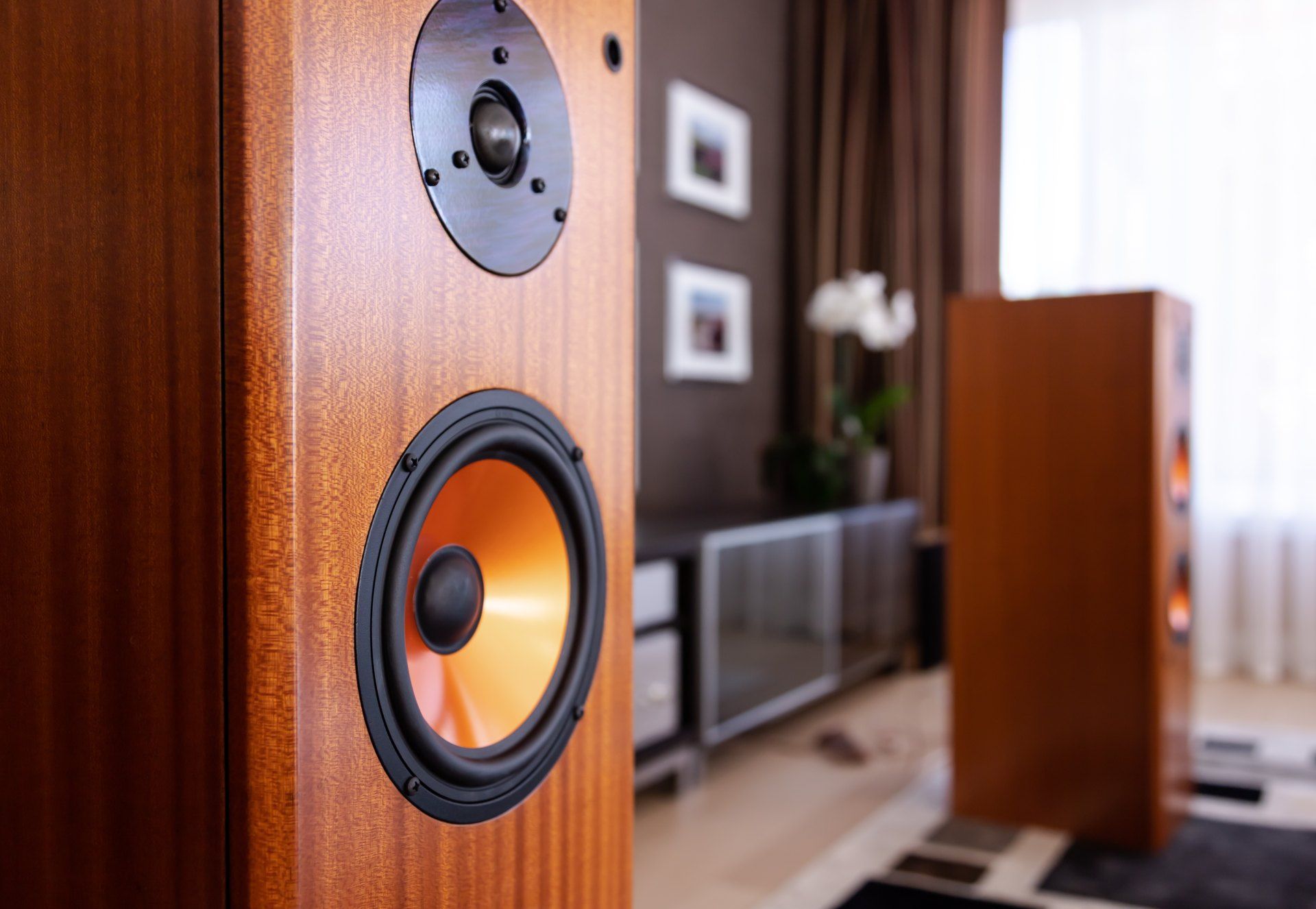 Why Choose Audio Distribution Services
