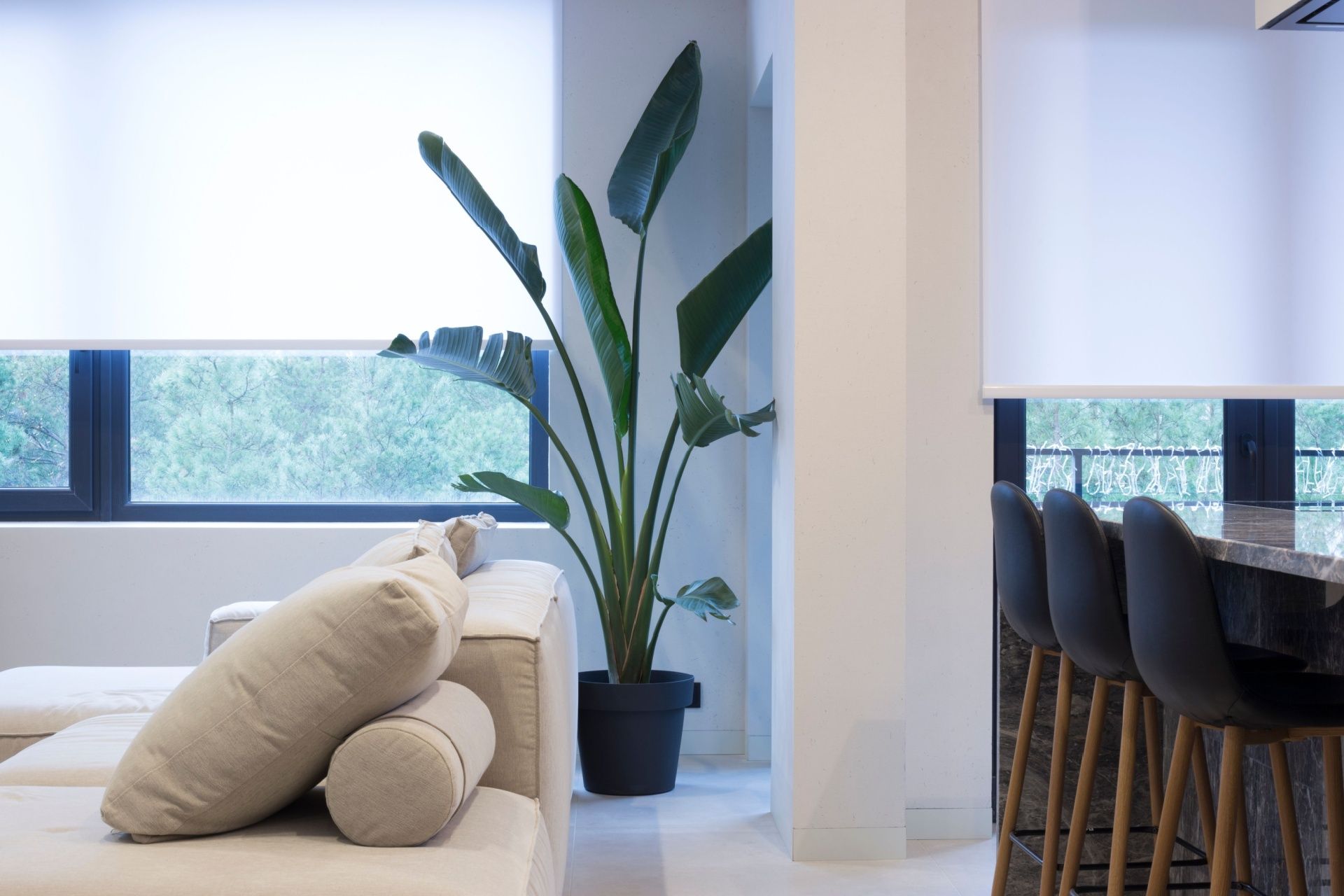 Living room interior with a large houseplant, sofa, and bar stools near a window.