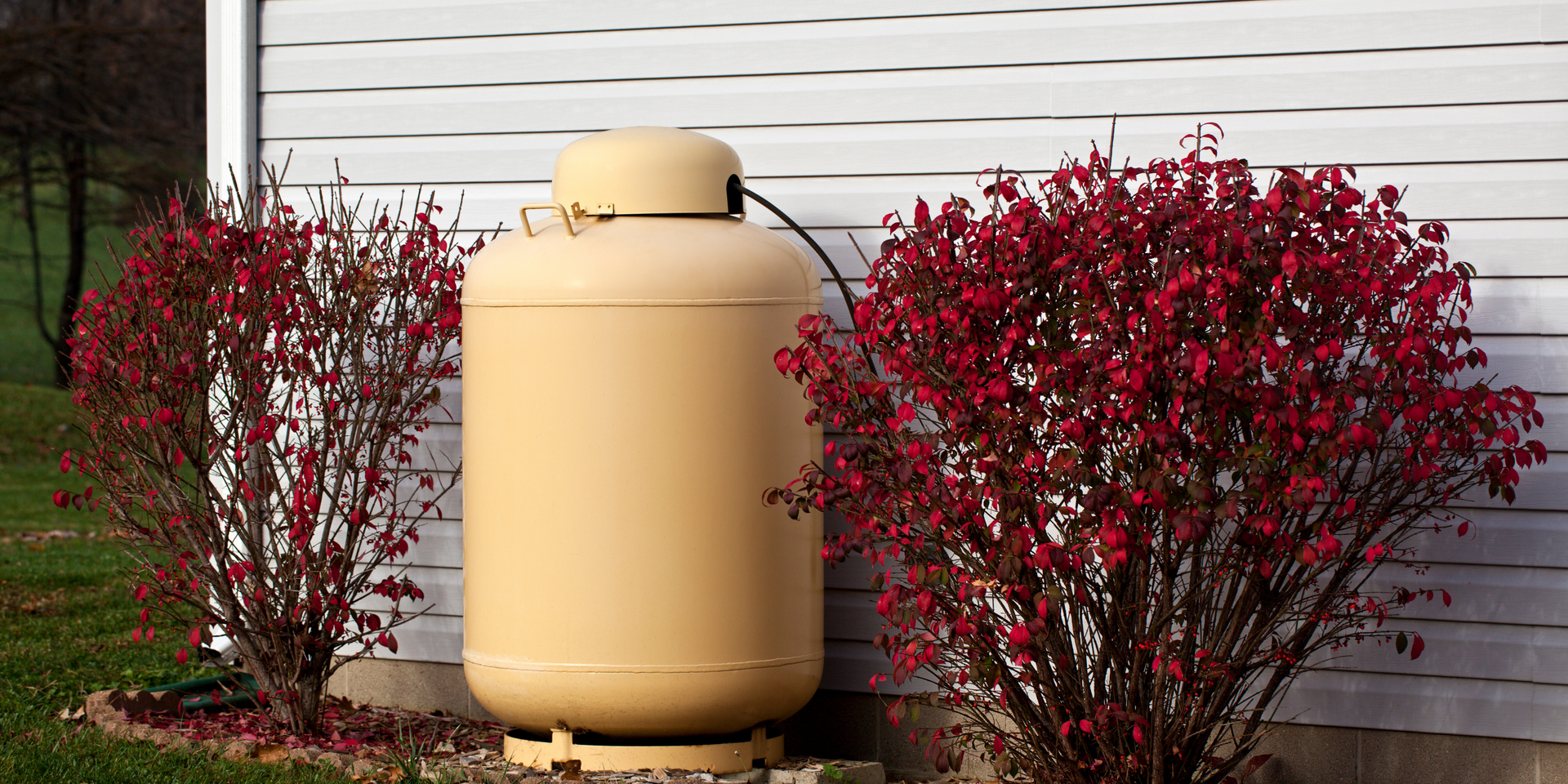 A propane tank is sitting in front of a house next to a bush with red flowers.