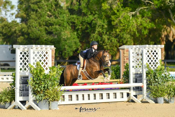 Rider on a brown horse clearing a red-and-white jump in an outdoor show ring