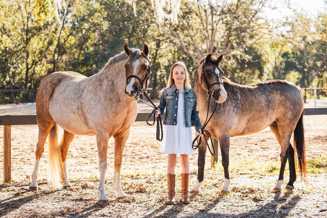 Person standing between two horses in a sunny outdoor paddock