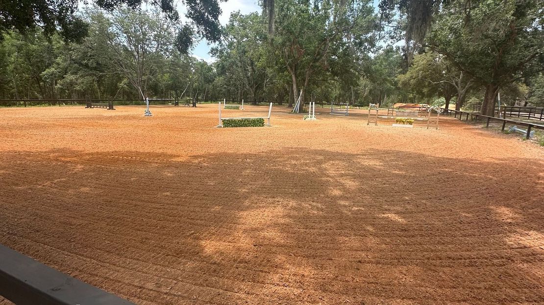 Open orange dirt field with trees along the edges in bright sunlight