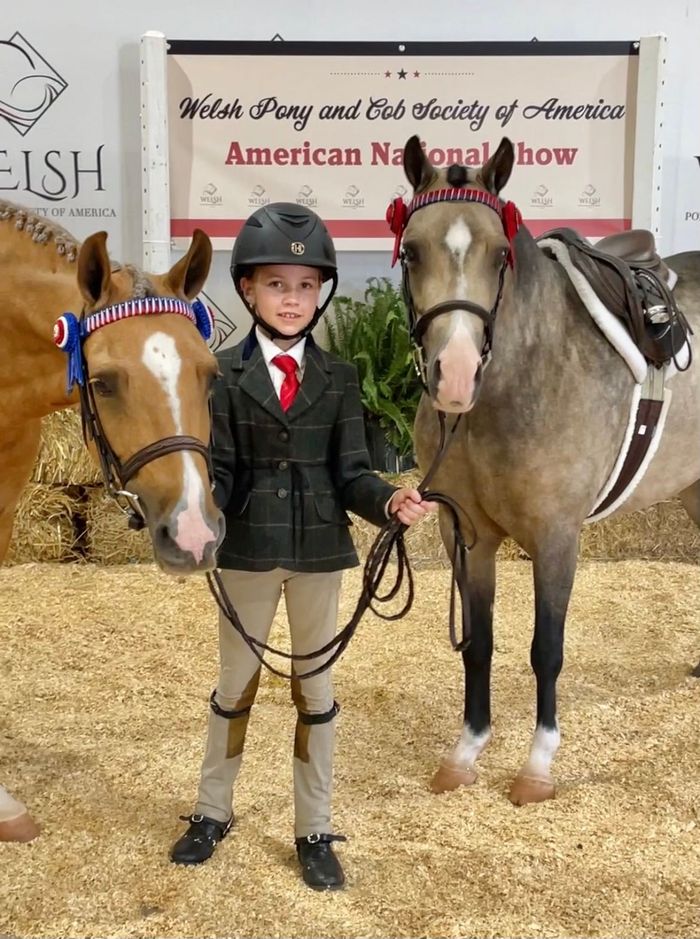 Young rider in show attire stands between two ponies at a show.