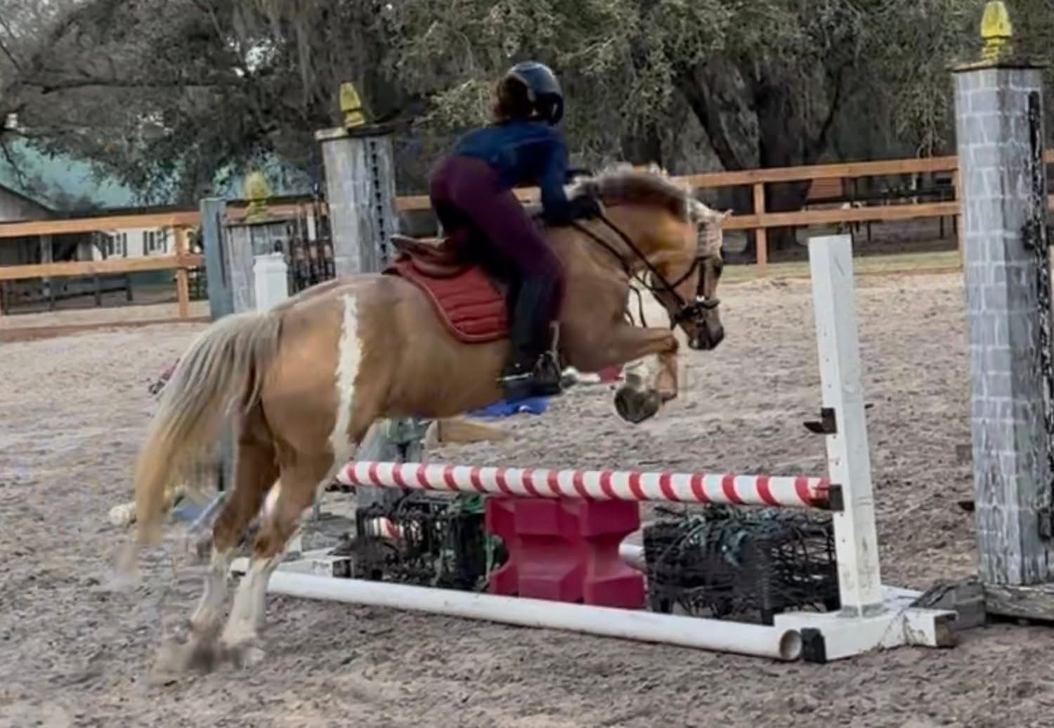 Rider on a tan horse clearing a red-and-white jump in an outdoor arena
