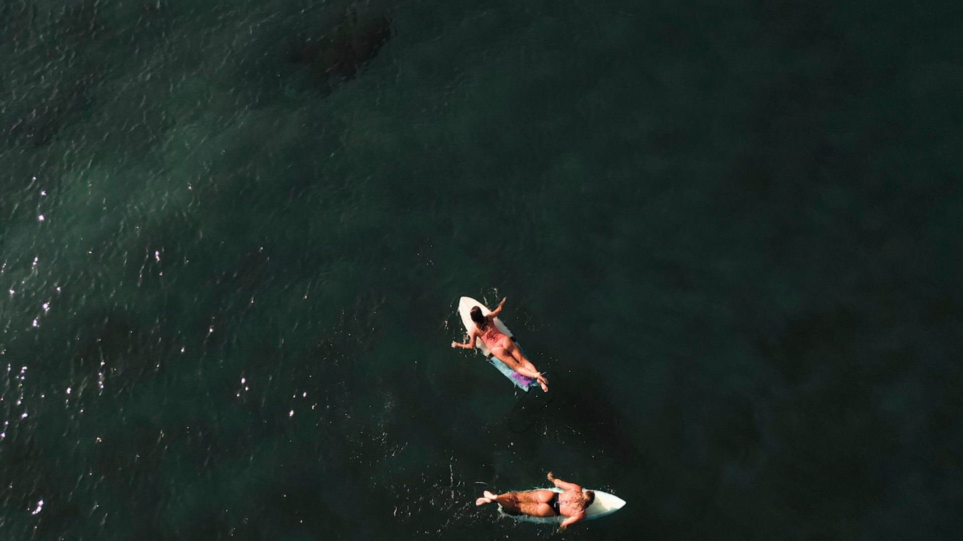 Two kayakers paddling on dark water, seen from above.