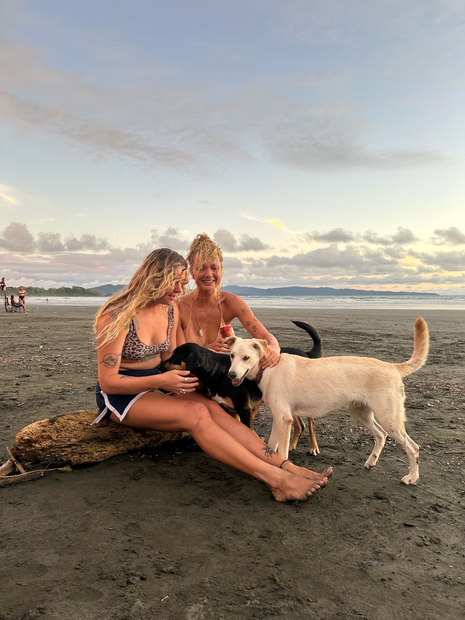 Three people sitting on a log at the beach with two dogs at sunset