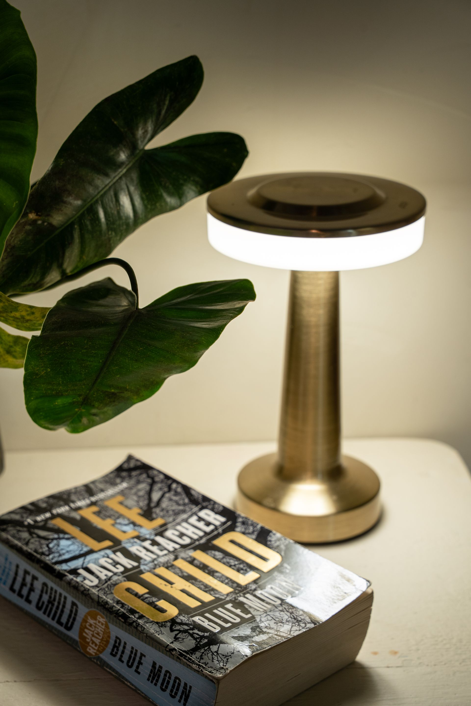 Table lamp beside a leafy plant and a stack of books on a white table, lit warmly in a cozy room