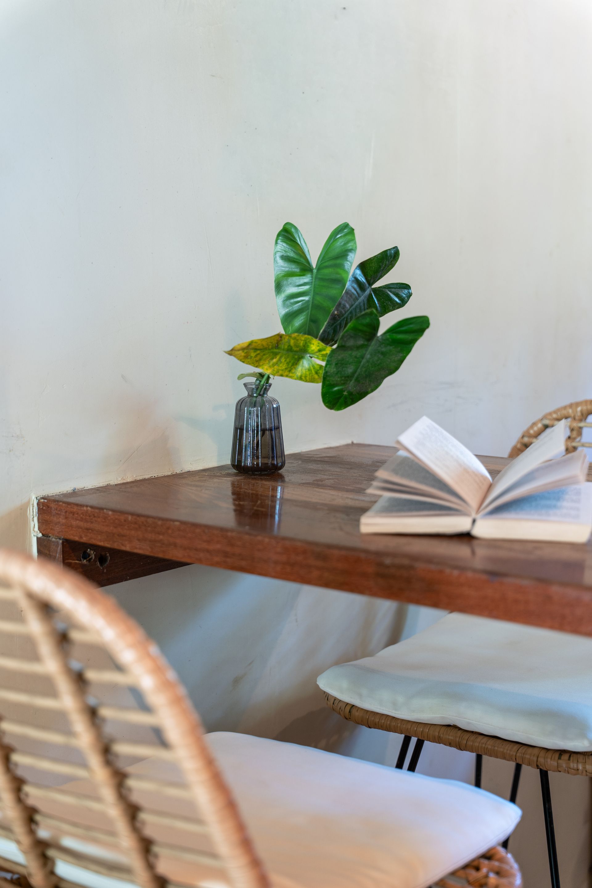 Cozy dining nook with wooden table, open book, potted plant, and woven chair against a white wall