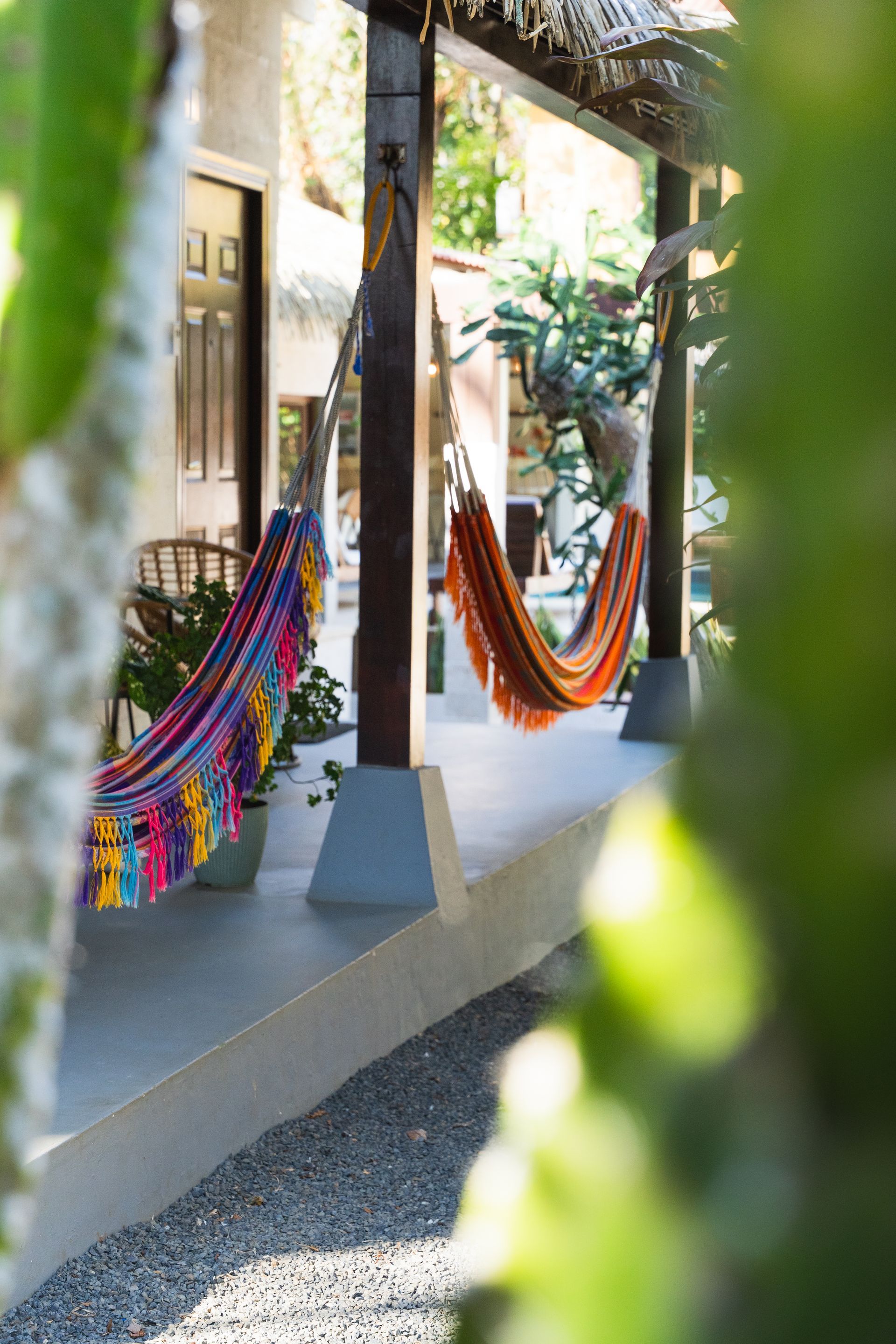 Colorful hammocks hanging on a shaded porch beside a gravel path and plants