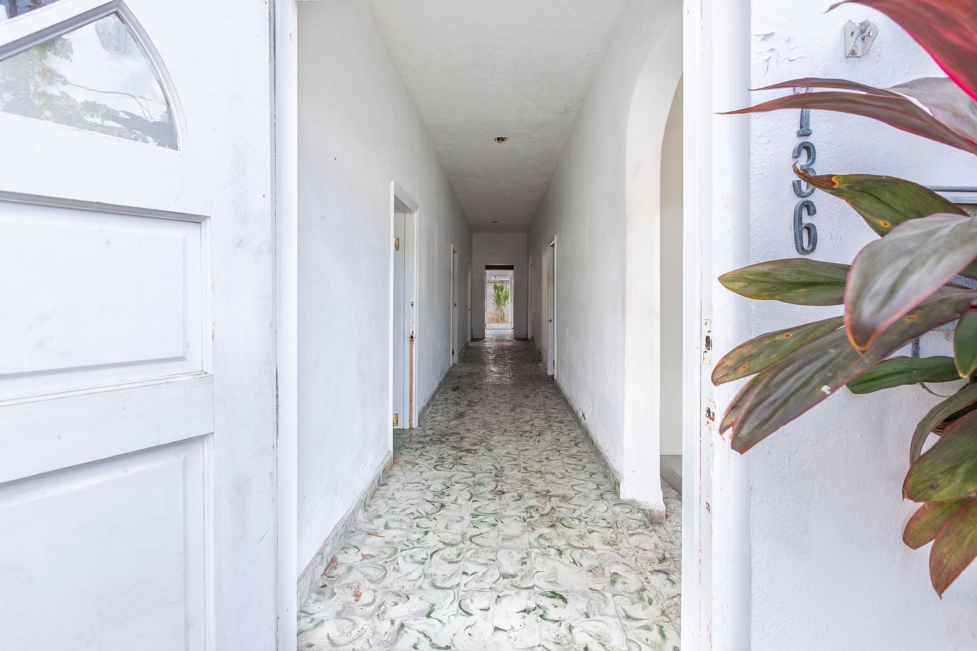 Narrow white hallway with patterned tile floor and a plant in the foreground