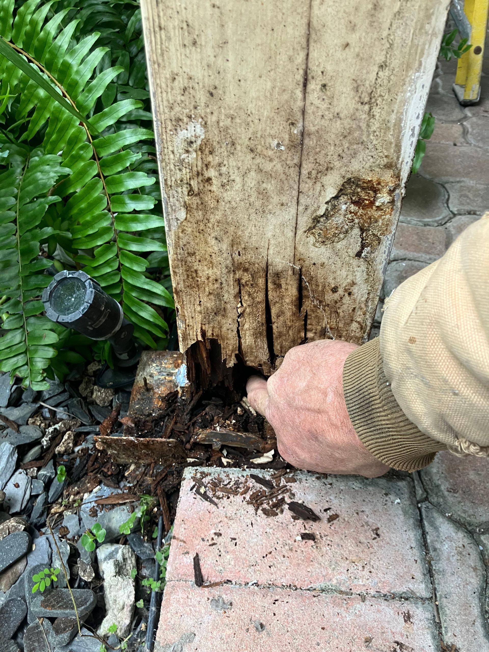 Hand digging rotted wood at the base of a weathered post beside a brick path and plants