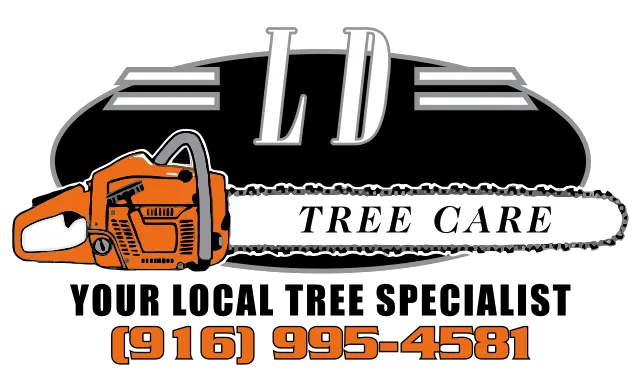 LD Tree Care - Logo