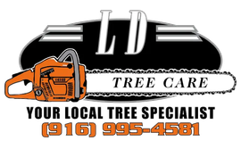 A logo for ld tree care with a chainsaw on it