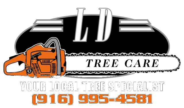 A logo for ld tree care with a chainsaw on it