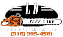 A logo for ld tree care with a chainsaw on it