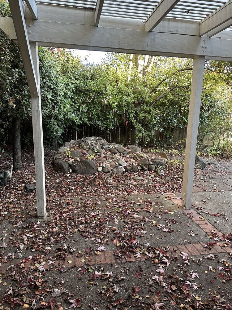 There are a lot of leaves on the ground under the pergola.