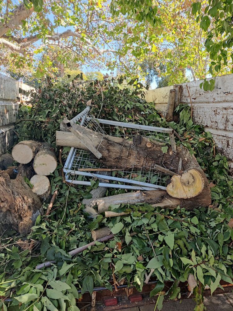 A pile of wood and leaves is sitting next to a brick wall.