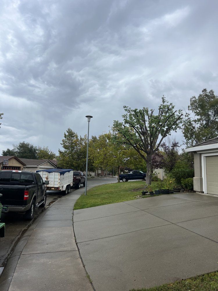 A residential street with cars parked on the side of it