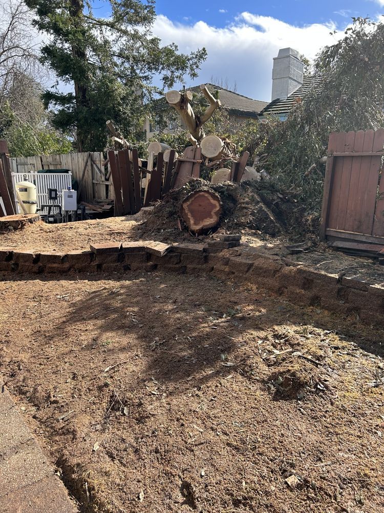 A pile of dirt and a tree stump in a backyard.