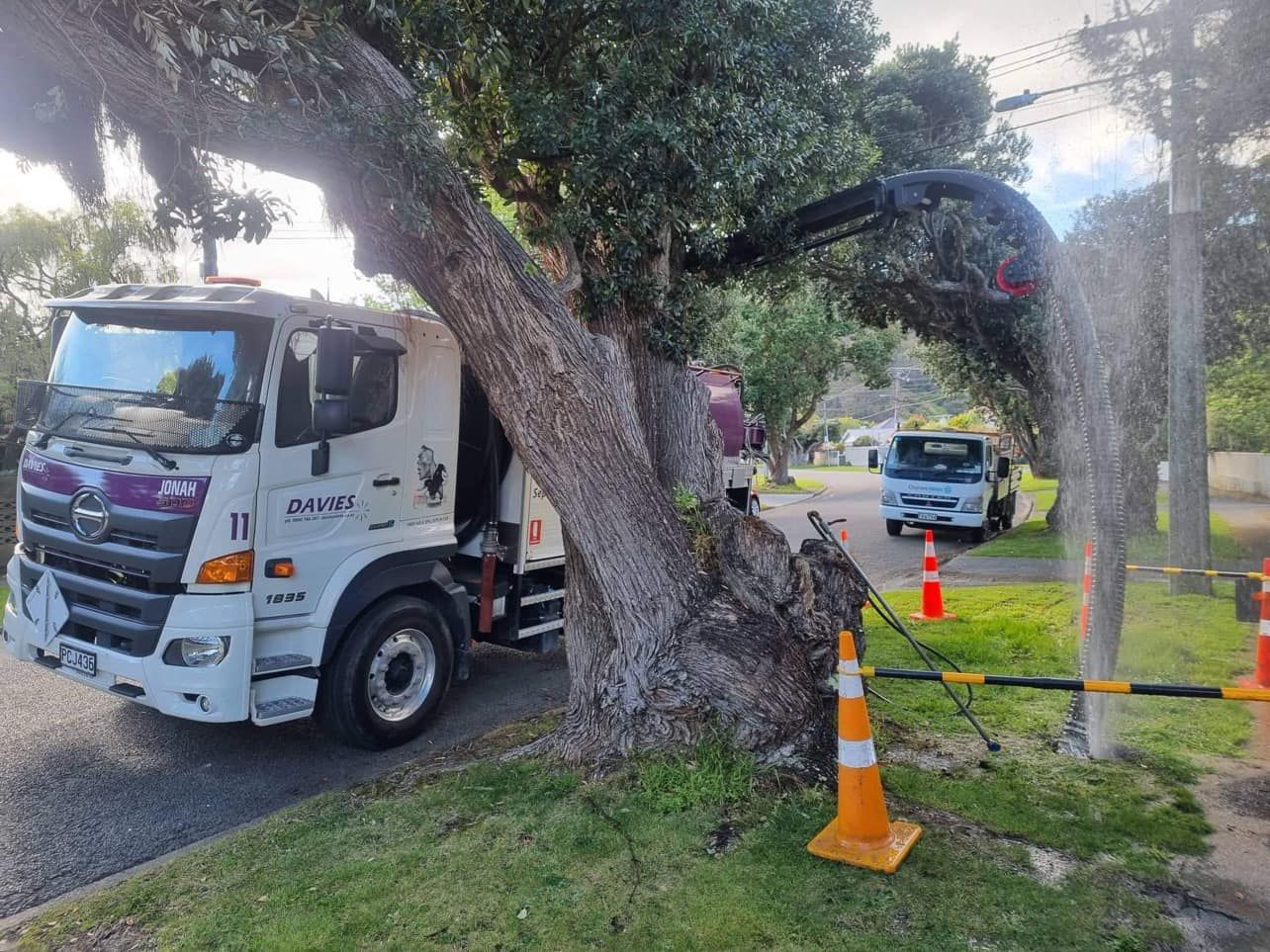 A white truck is parked next to a tree on the side of the road.