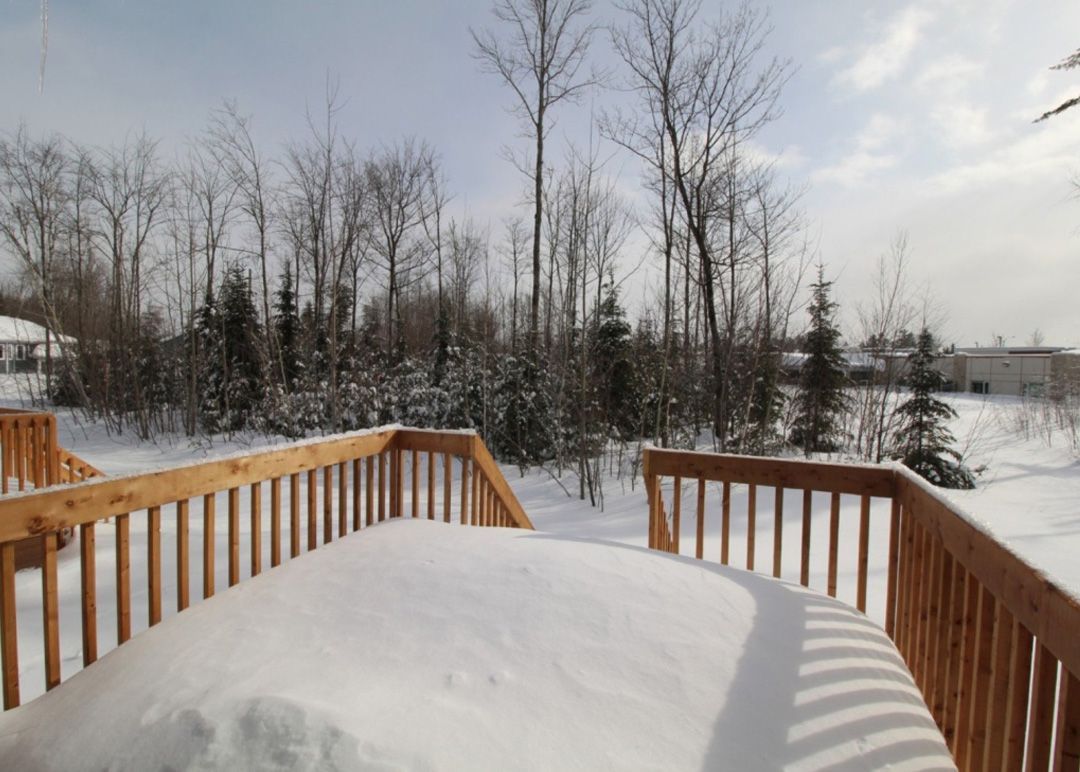 Une terrasse couverte de neige avec des arbres en arrière-plan