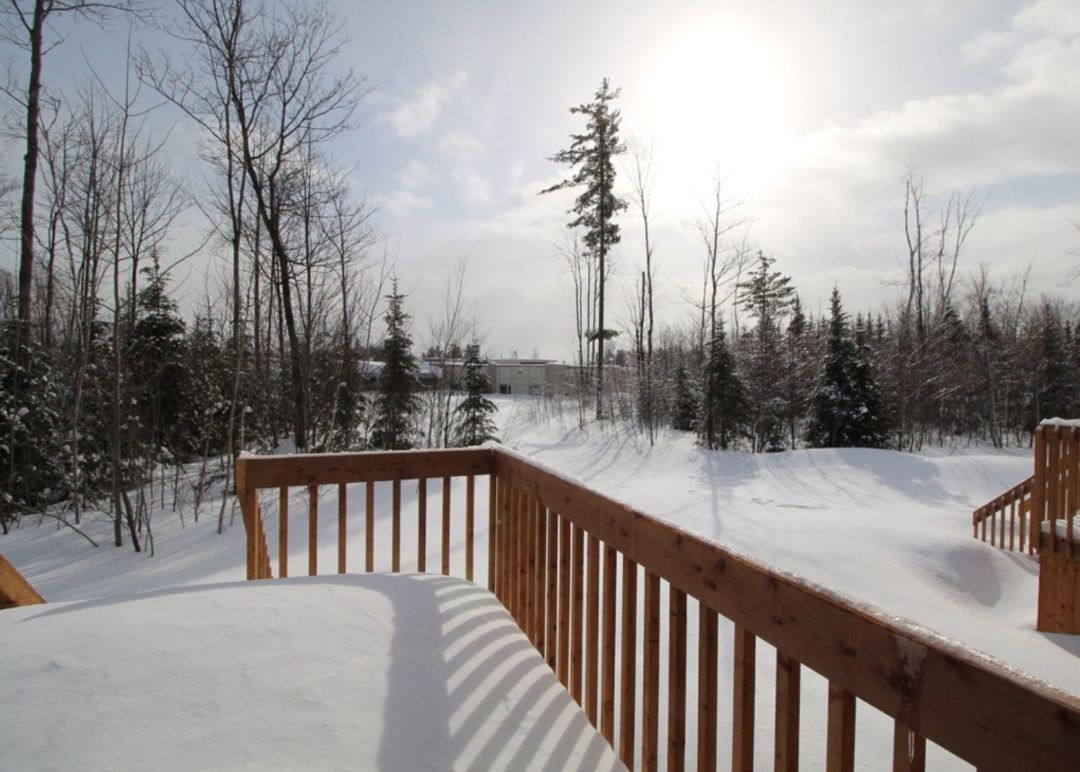 Une terrasse en bois surplombant une forêt enneigée avec des arbres en arrière-plan