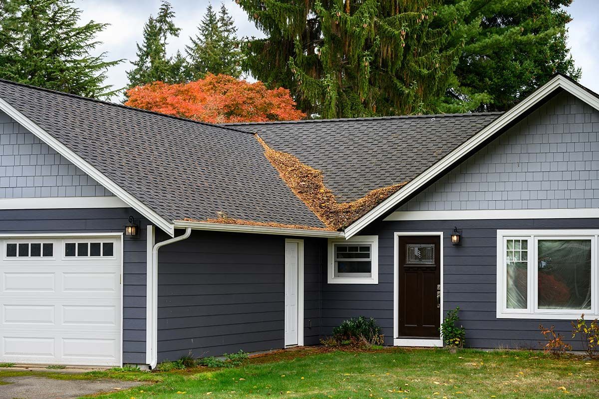 A dark blue house with a gray roof and a garage, a brown door, and fall leaves on the roof.