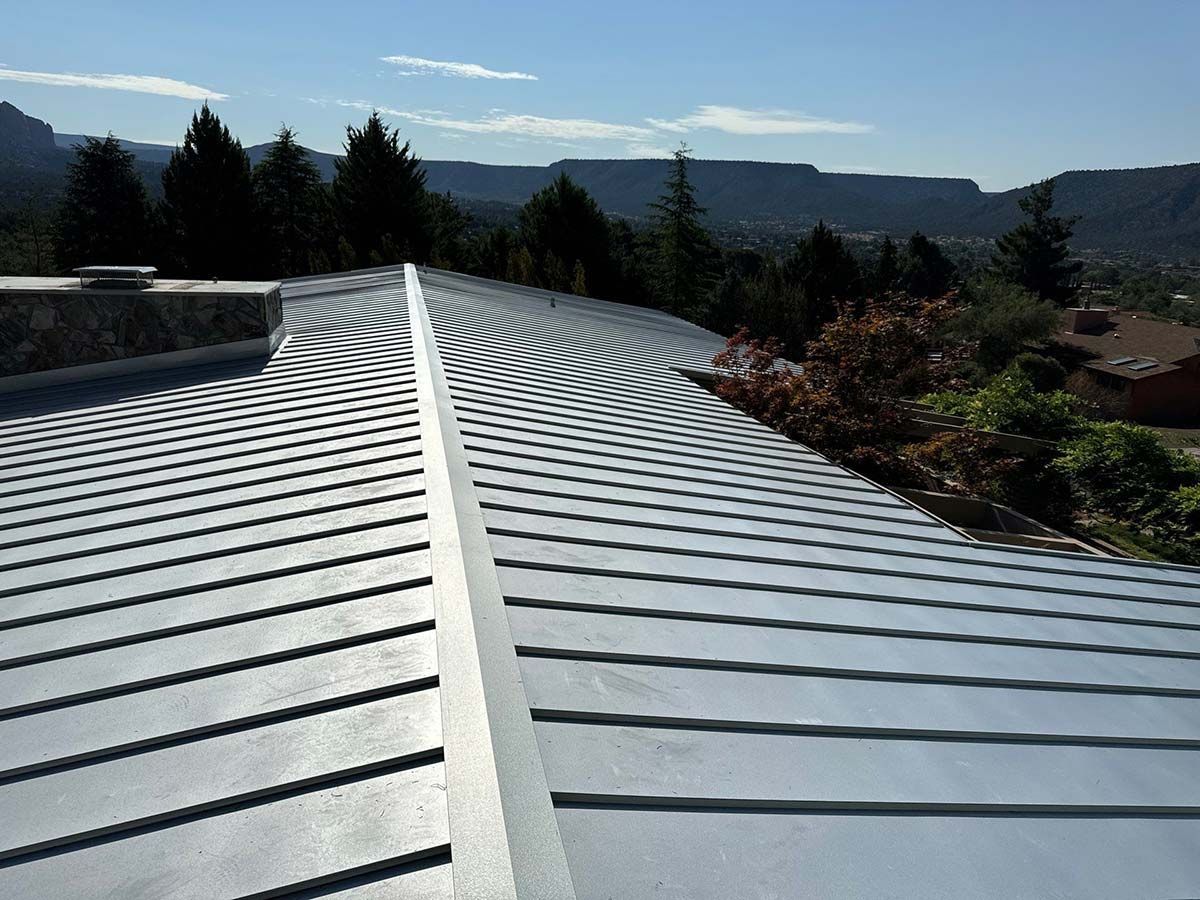 Silver metal roof with circular pattern, mountains and trees in background.