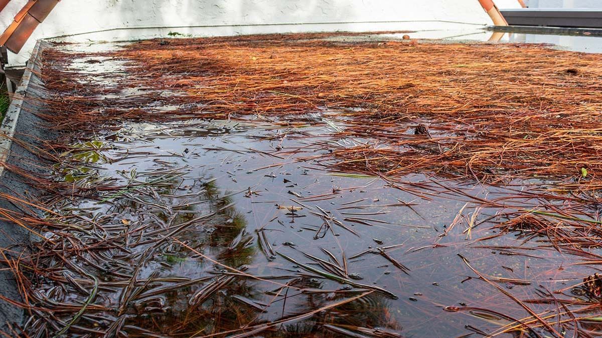 Flat roof covered in standing water, debris.