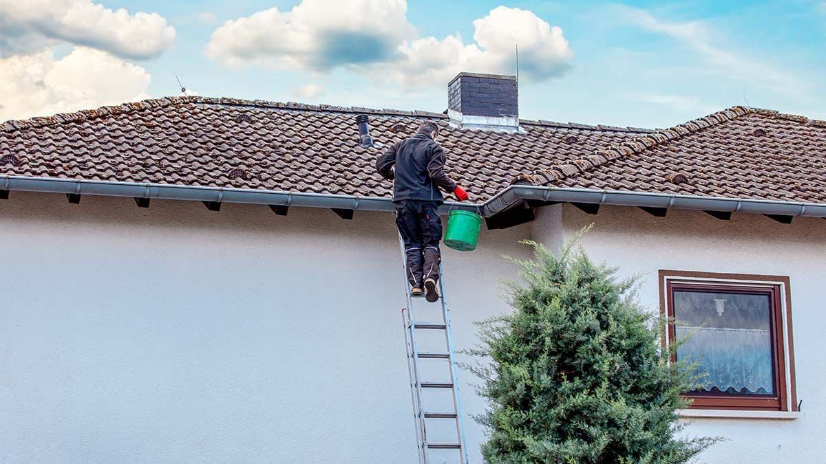Person on a ladder cleaning gutters of a house, holding a green bucket.