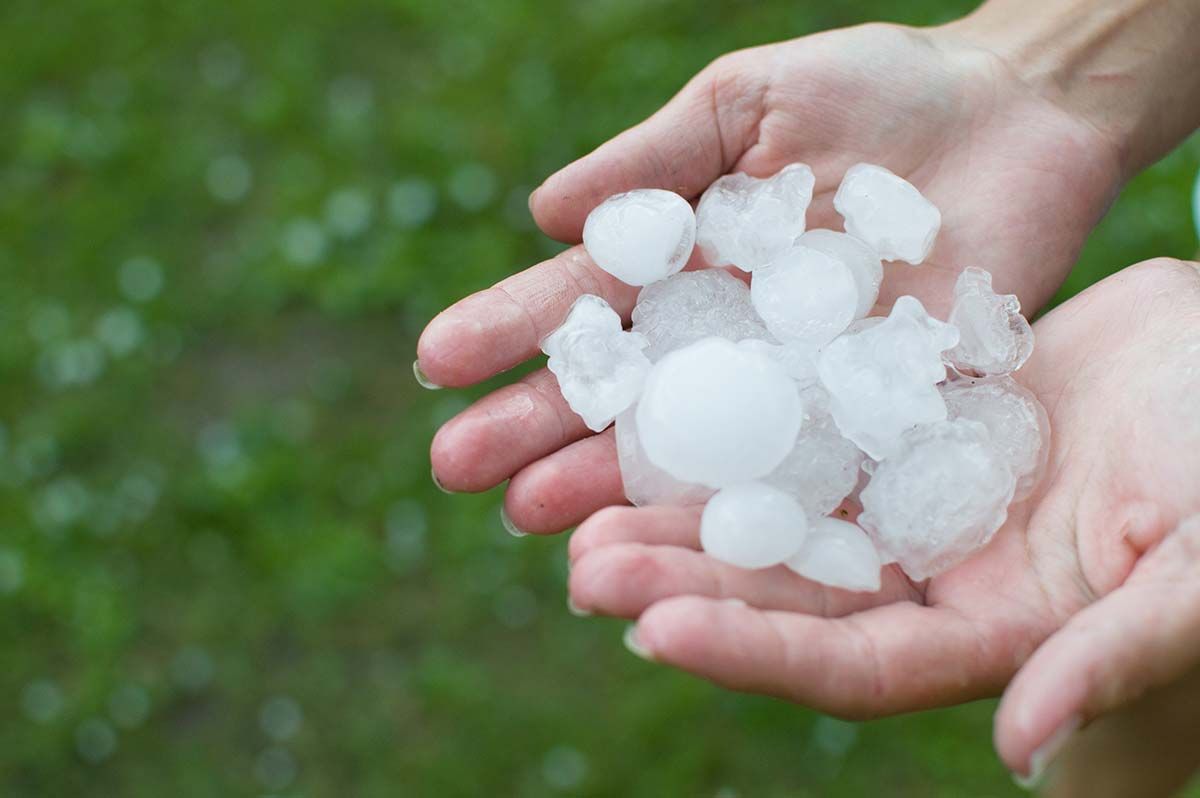 Hands holding several hailstones against a blurred green background.